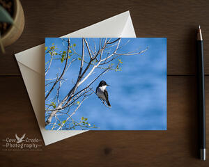 An all occasion folding greeting card with fine photography of an eastern kingbird at a lake offered at Cove Creek Photography.